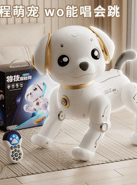 Programming trick remote control robot dog children's toy gi