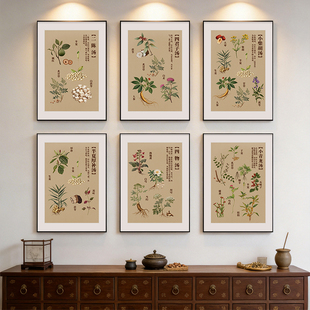 中药房文化墙草药汤剂壁画中医馆养生馆背景墙挂画中药汤方装饰画