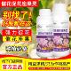 催花座果灵座果催花提高座果率保花保果果树蔬菜花卉通用生长改良