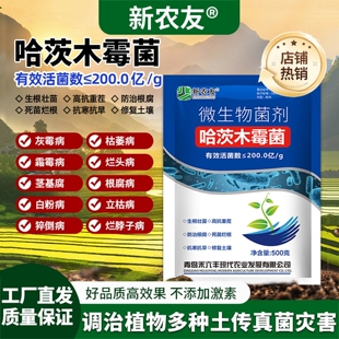 哈茨木霉菌生根壮苗高抗重茬防治根腐立枯灰霉霜霉病微生物菌剂
