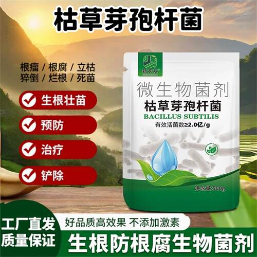 枯草芽孢杆菌生根壮苗预防根腐
