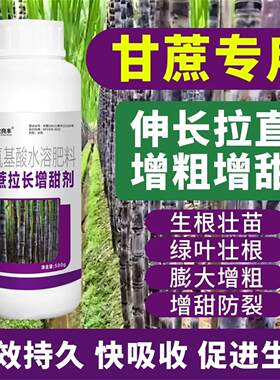 甘蔗拉长增甜剂增粗防裂抗倒伏