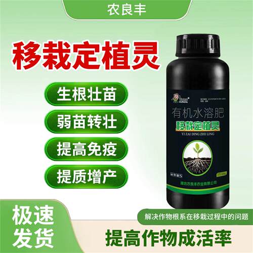 移栽定植灵果树蔬菜花卉移栽定苗