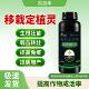 移栽定植灵果树蔬菜花卉移栽定苗提高成活率生根壮苗有机水溶肥料