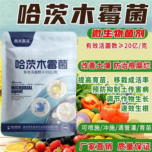 正品哈茨木霉菌农业微生物菌