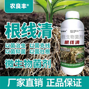 根线清淡紫紫孢菌长枝木霉菌根线虫根瘤菌根腐病专用菌肥
