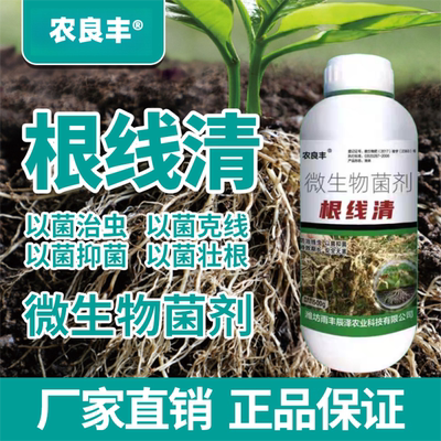 根线虫根瘤菌根腐病专用菌肥