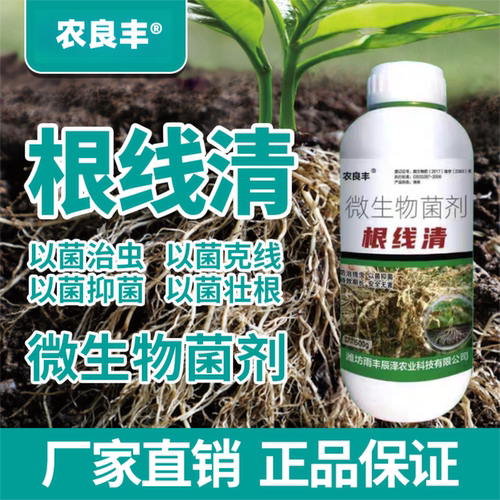 根线虫根瘤菌根腐病专用菌肥