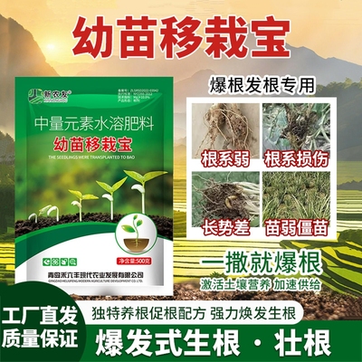 幼苗移栽生根壮苗提高移栽成活率