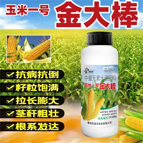 玉米一号金大棒抗倒伏促根抗病