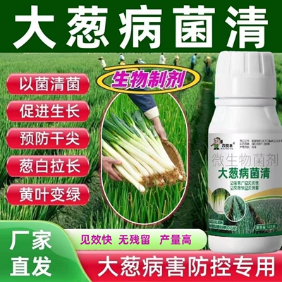 大葱病菌清小香葱干尖黄叶病害清