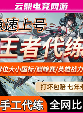 【亏本冲量】王者荣耀代打排位陪玩代打巅峰赛战力大小国标