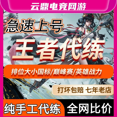 【亏本冲量】王者荣耀代打排位陪玩代打巅峰赛战力大小国标