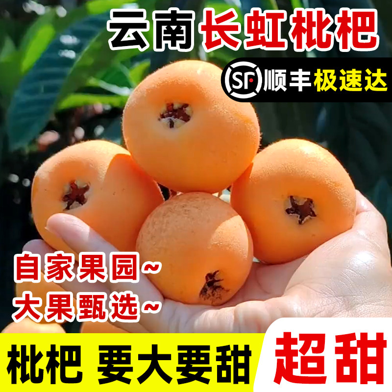 正宗云南蒙自长虹枇杷5斤新鲜水果当季现摘树上熟整箱甜顺丰包邮