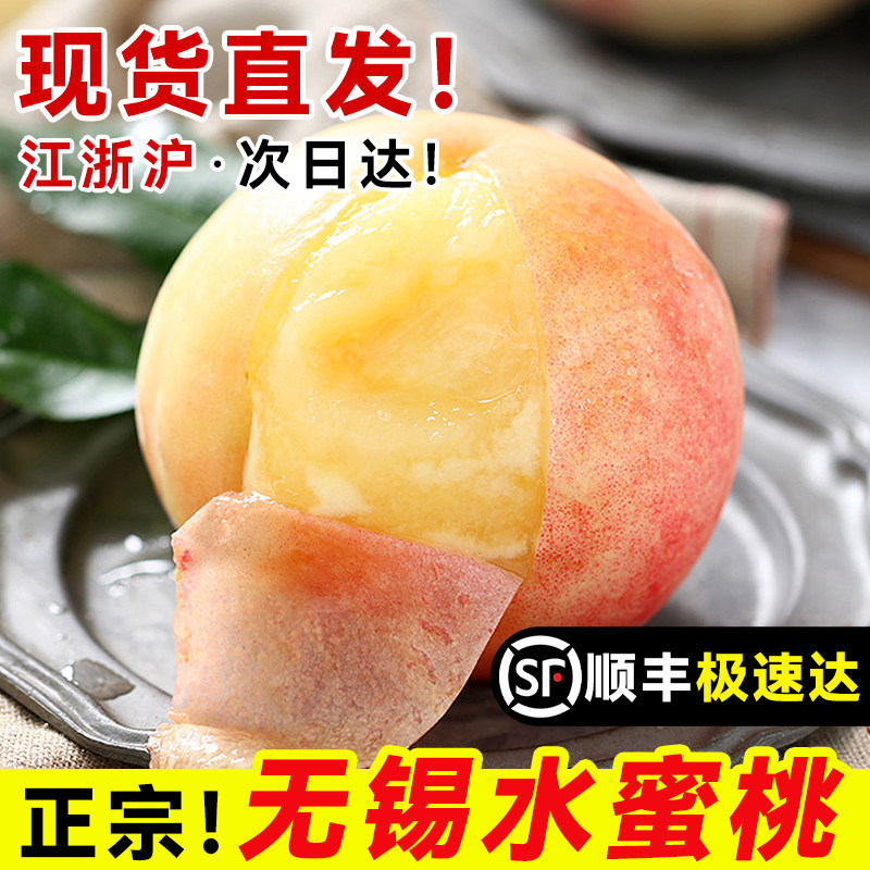 现货正宗无锡水蜜桃子礼盒现摘新鲜阳高端水果整箱山应当季白凤