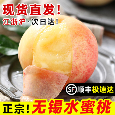 现货正宗无锡水蜜桃子礼盒现摘新鲜阳高端水果整箱山应当季白凤