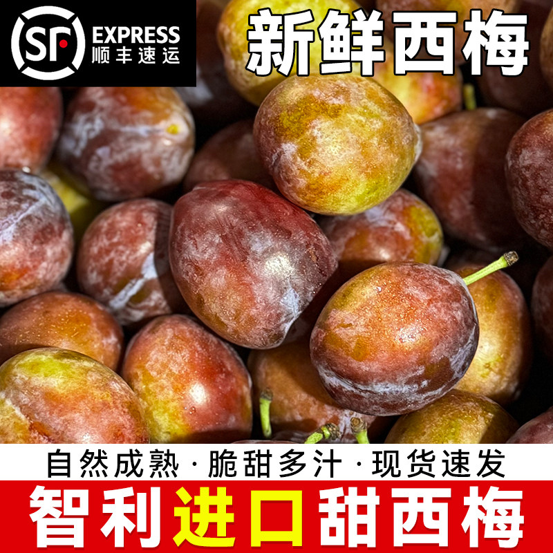 正宗智利进口西梅新鲜水果特大应当季孕妇5斤甜原箱整箱顺丰包邮