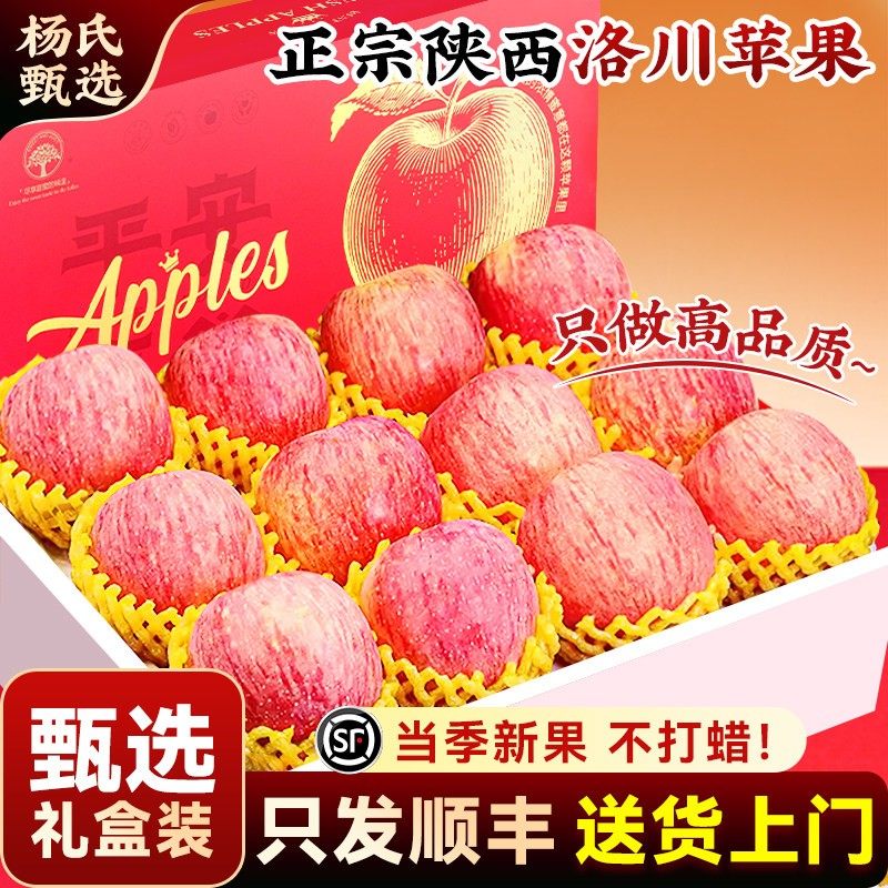 顺丰礼盒正宗陕西洛川苹果10斤水果新鲜当季整箱现摘冰糖心红富士,水产肉类/新鲜蔬果/熟食,苹果,淘宝优惠券,粉丝福利购,淘宝优惠卷