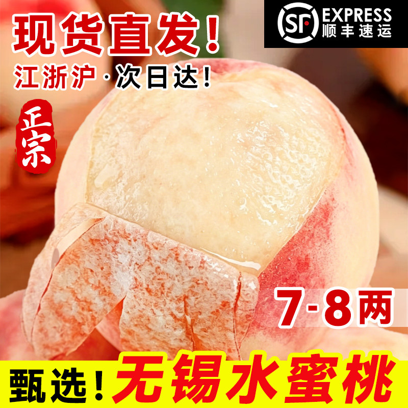 现货【7-8两】正宗无锡水蜜桃新鲜水果当季阳整箱山官方旗舰店