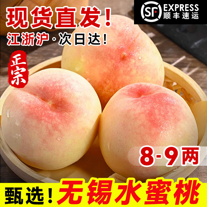 现货【8-9两】正宗无锡水蜜桃新鲜水果当季阳整箱山官方旗舰店