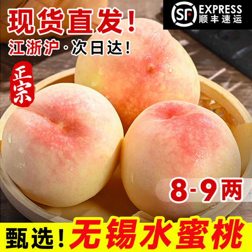 现货【8-9两】正宗无锡水蜜桃新鲜水果当季阳整箱山官方旗舰店