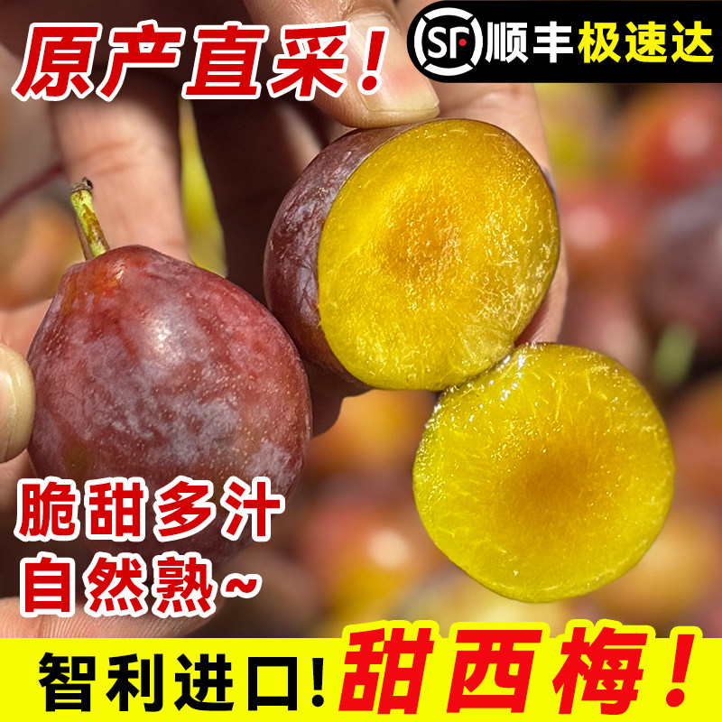 【3斤】正宗智利进口西梅新鲜水果特大应当季孕妇甜整箱顺丰包邮