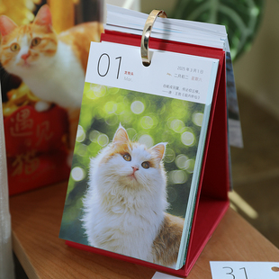 小日子不翻篇 遇见猫2025温暖治愈日历365天一日一页台历摆件