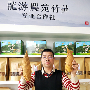 新鲜黄泥鲜冬笋两头尖龙游溪口现挖浙江农苑竹笋基地直供包邮