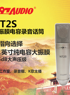 797AUDIO NT2S 专业录音话筒 大振膜多指向舞台剧院录音棚话筒