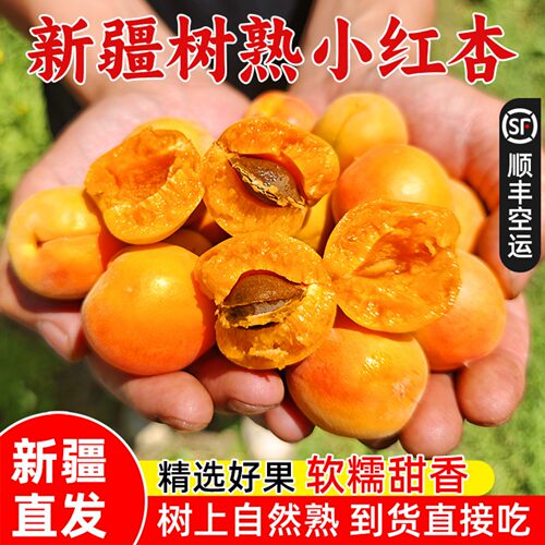 新疆阿克苏小红杏当季新鲜空运