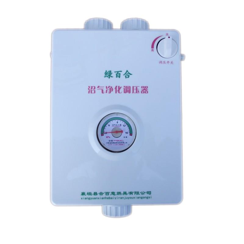 沼气净化器绿百合沼气脱硫器