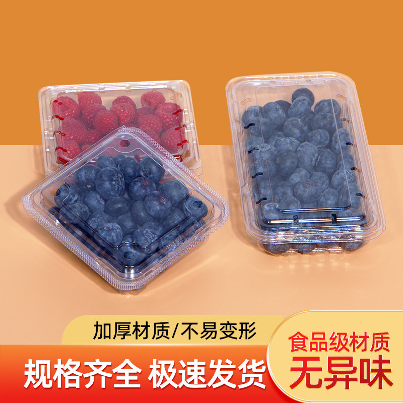125g克蓝莓盒子一次性树莓打包盒加厚透明塑料透气蓝莓超市包装盒