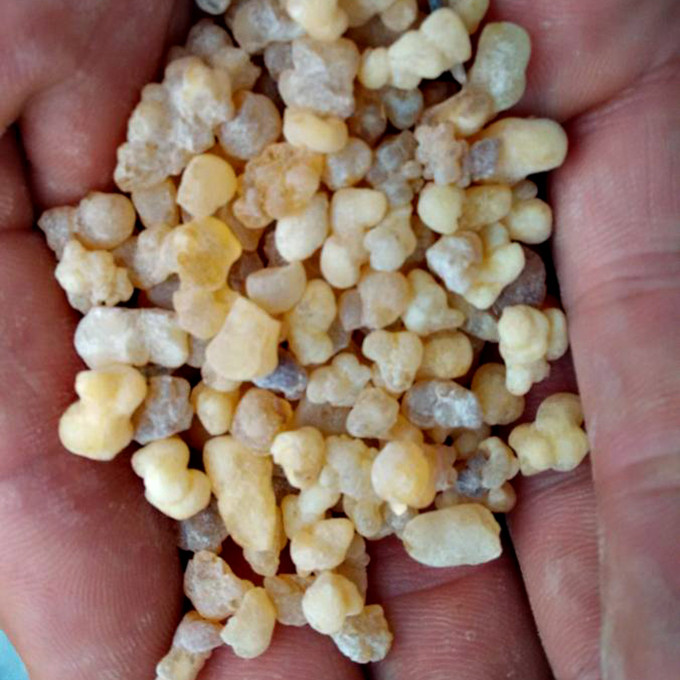 汇林堂乳香珠 手选干净味道浓郁另有炙乳香制乳香500克包邮