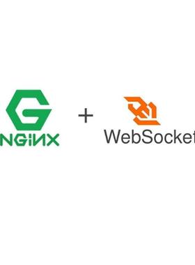 websocket配置|代码调试|nginx|wss|ws|服务器部署