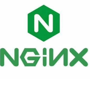 $nginx配置|ssl证书|反向代理|websocket|跨域|java|服务器部署