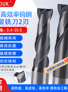 多功能高效率PS开粗精铣高光洁钨钢涂层铣刀2刃1.0-12.0标长加长