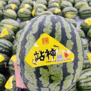 站神西瓜甘美4K无籽整个大果5-10斤新鲜脆甜薄皮肉厚当季时令水果