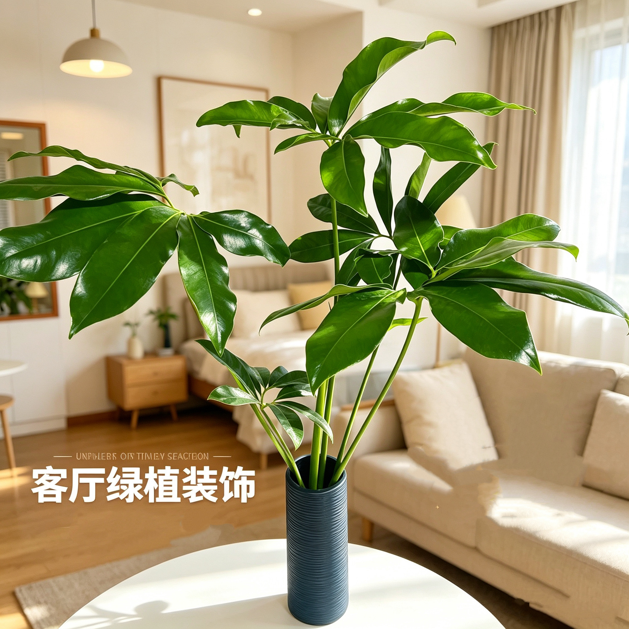 【印第安羽毛】蔓绿绒五子登科网红绿植热植北欧室内观叶绿植