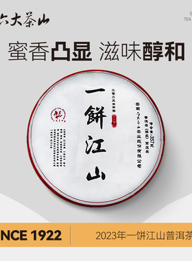 一饼江山普洱茶/六大茶山云南普洱茶叶大叶茶生茶熟茶经典口粮茶