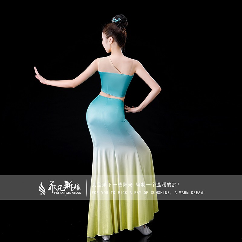 新选成人傣族舞蹈演出服女鱼尾裙修身傣族服装云南U西双版纳裙子