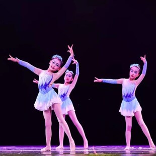 新品 第十届小荷风采冰上花枝俏女孩舞蹈演出服少儿U校园艺术团健