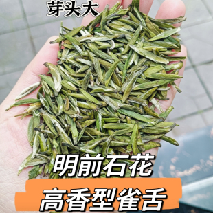 四川特产2026新茶高品质春茶雅安蒙顶石花雀舌雨花栗香炒青绿茶叶