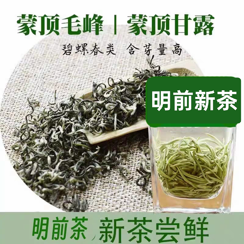 2026新清茶绿茶叶四川蒙顶甘露正品毛峰碧螺春类高山高品质散装