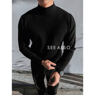 SEE 精纺半高领打底上衣秋冬莫代尔复古休闲内搭针织毛衣男 ALSO