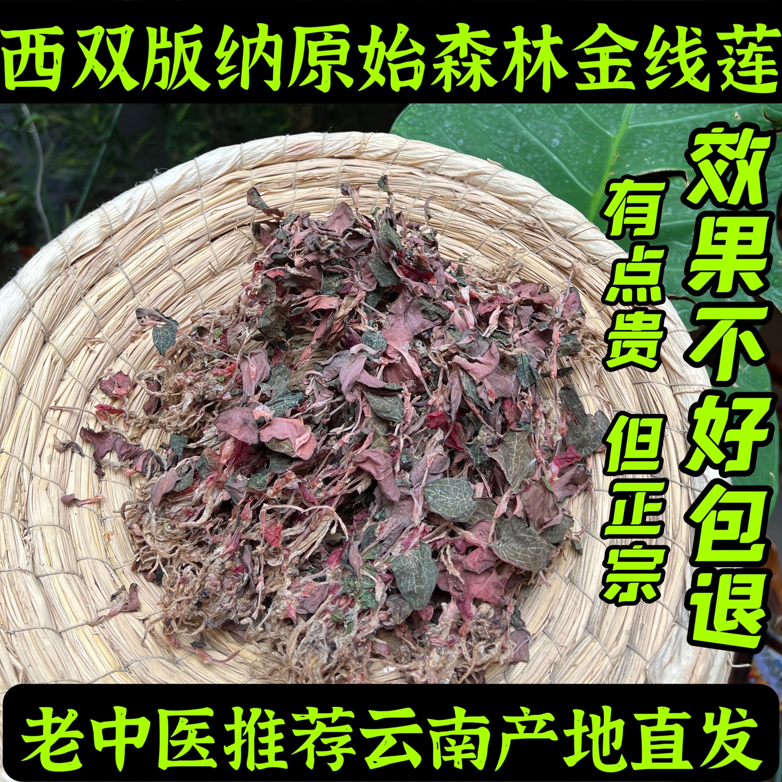 山野珍食正宗云南金线莲整株干品养生茶散装小尖叶非野生红霞50g