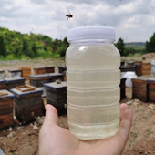 25年槐花蜜 水白色1000克装 吕小蜂农家纯蜂蜜自产自销