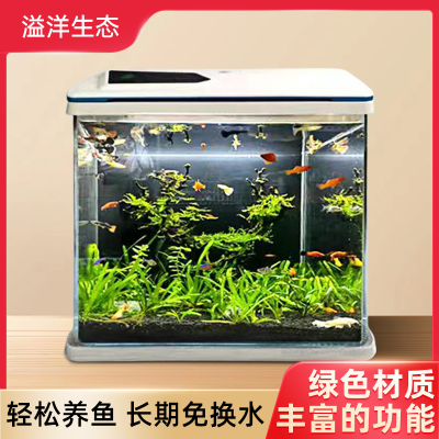 鱼缸玻璃缸桌面鱼缸客厅小型家用桌面养鱼生态缸新款长方形水族箱