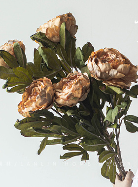 橙色做旧落地仿真花单枝大头牡丹花客厅创意假花干花餐桌装饰摆件