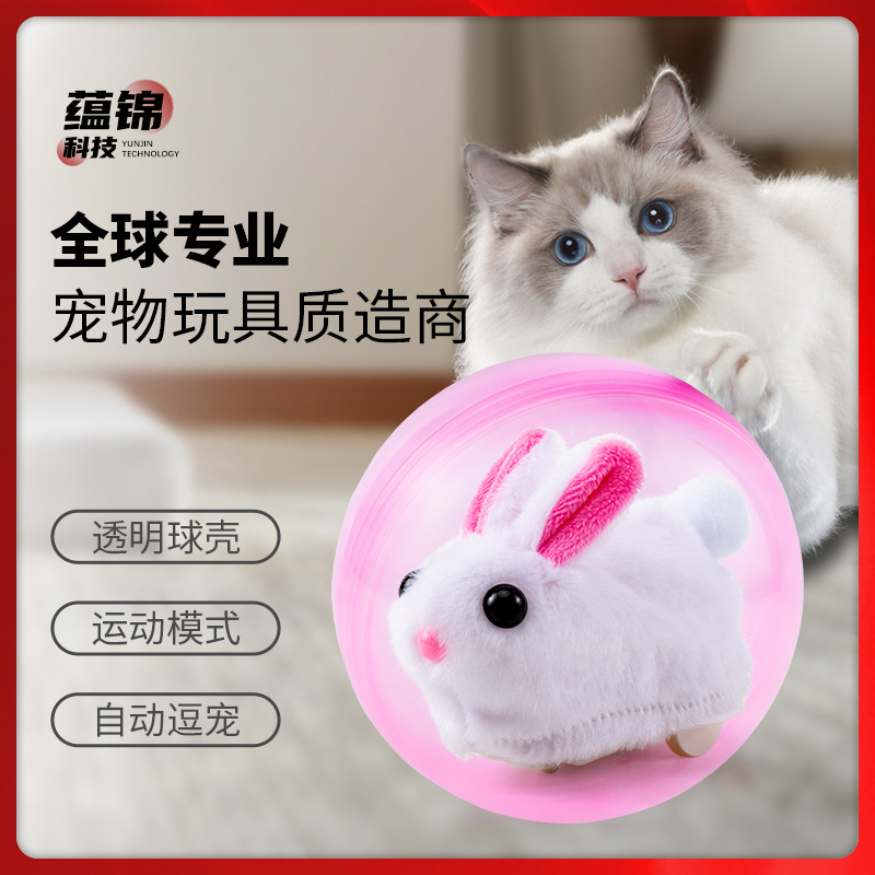 跨境仓鼠滚动球玩具万向电动仓鼠球宠物猫咪玩具儿童抖音同款