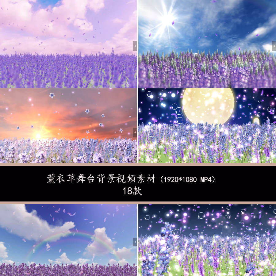 大气唯美紫色薰衣草动态舞台背景薰衣草花海舞台led背景视频素材